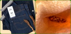 Și-a comandat on-line o pereche de blugi Levi’s dar când a deschis coletul, a crezut că nu vede bine. A primit un sac cu ceapă
